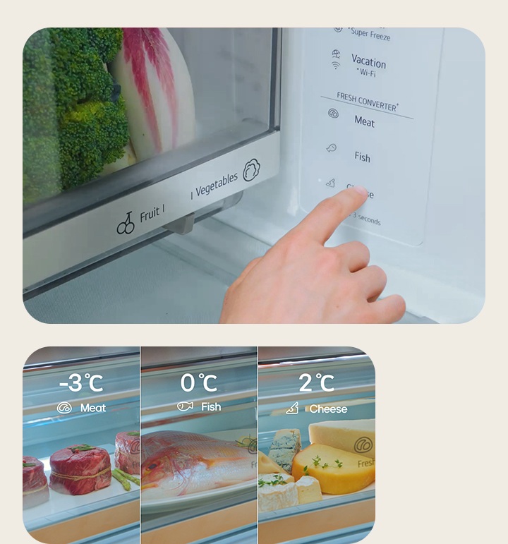 LG Fit & Max Fridge Freezer Fresh Converter presets for meat, fish, and cheese, a user adjusting the control panel settings.	