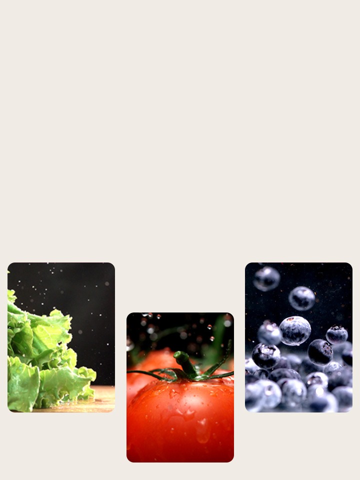 The graph shows the temperature change and the view of the food that is still fresh in the refrigerator.