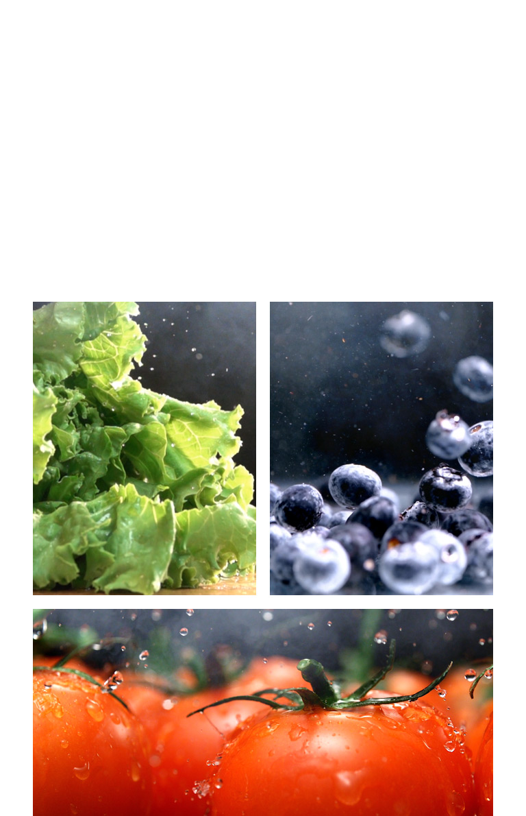 Keep food fresher for longer6