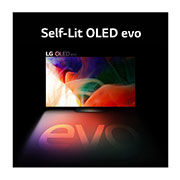 LG OLED evo ART90 Easel 65 inch 4K Smart TV Lifestyle TV , 65ART90ESQA