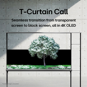 LG SIGNATURE OLED T displaying a green tree that’s been snowed on.