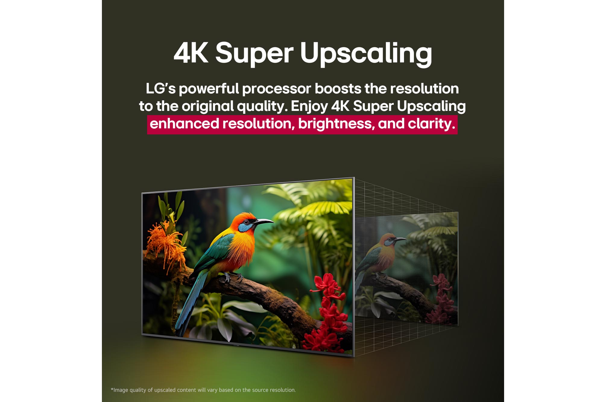 Before and after comparison of how LG 4K Super Upscaling improves image quality. Two panels showing the same image of a colourful bird sitting on a branch in a forest, panel on the right is faded out. The title talks about how 4K Super Upscaling enhances resolution, brightness and clarity. 