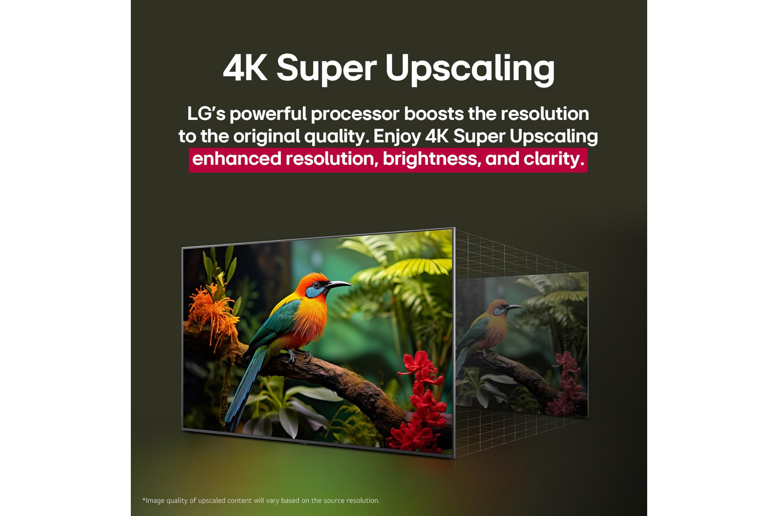 Before and after comparison of how LG 4K Super Upscaling improves image quality. Two panels showing the same image of a colourful bird sitting on a branch in a forest, panel on the right is faded out. The title talks about how 4K Super Upscaling enhances resolution, brightness and clarity. 