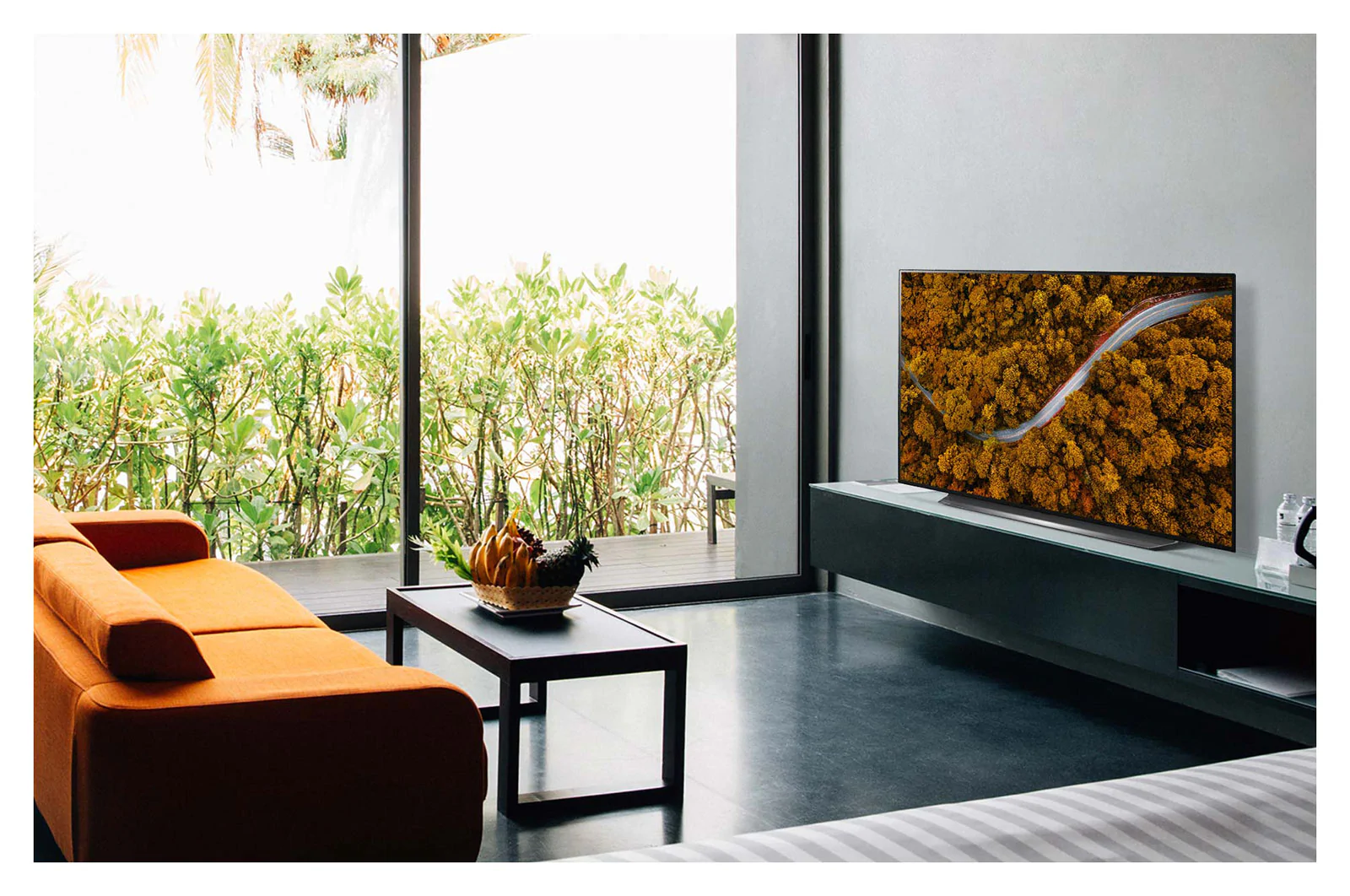 LG 48" CX LG OLED TV with ThinQ® AI, OLED48CXPUB