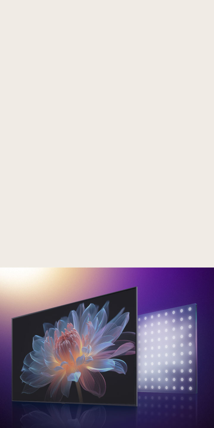 Écran de télévision avec une fleur holographique sur l’écran. Derrière elle se trouve une représentation visuelle de LED light. Elle passe de grandes LED lights à de plus petites et l’image holographique de la fleur est soudainement améliorée, montrant comment LG QNED evo est capable de contrôler la lumière avec plus de précision, ce qui permet d’obtenir une image plus vive et plus contrastée.