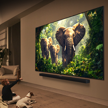 Une fille et un chien sont assis devant un LG QNED TV accroché au mur et représentant trois éléphants marchant vers l’extérieur, au-dessus d’une LG Soundbar. Le titre met en avant comment chaque action devient plus captivante sur un écran géant.