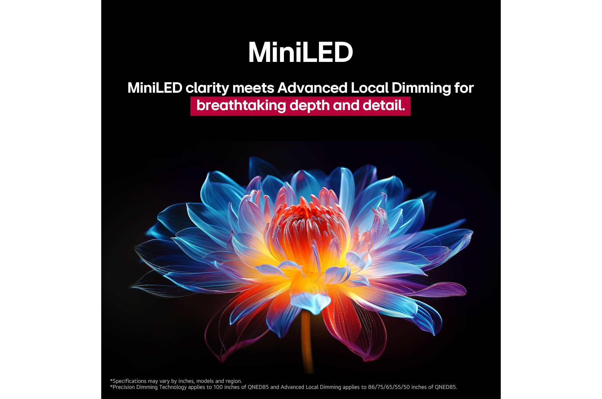 Une fleur holographique en 3D, affichant de nombreuses nuances et teintes, sur un fond noir. La définition et les détails de la fleur mettent en valeur la capacité du QNED MiniLED à produire des visuels avec des couleurs exceptionnelles, une luminosité intense et un contraste remarquable. Le titre explique comment MiniLED améliore la clarté et fournit un contraste exceptionnel.