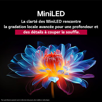 Une fleur holographique en 3D, affichant de nombreuses nuances et teintes, sur un fond noir. La définition et les détails de la fleur mettent en valeur la capacité du QNED MiniLED à produire des visuels avec des couleurs exceptionnelles, une luminosité intense et un contraste remarquable. Le titre explique comment MiniLED améliore la clarté et fournit un contraste exceptionnel.