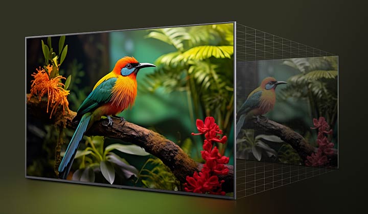 Comparaison avant/après de l’amélioration de la qualité d’image grâce au Super Upscaling 4K de LG. Deux panneaux montrant la même image d’un oiseau coloré assis sur une branche dans une forêt, le panneau de droite est estompé.