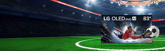 Grandes écrans. Grands matchs: 6 mois de TSN offerts avec les OLED 65 po+