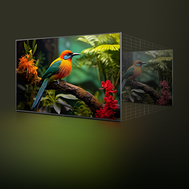 Écran LG TV avec image d'oiseau vive et couche sombre, illustrant l'AI Upscaling pour des détails d'image plus nets.