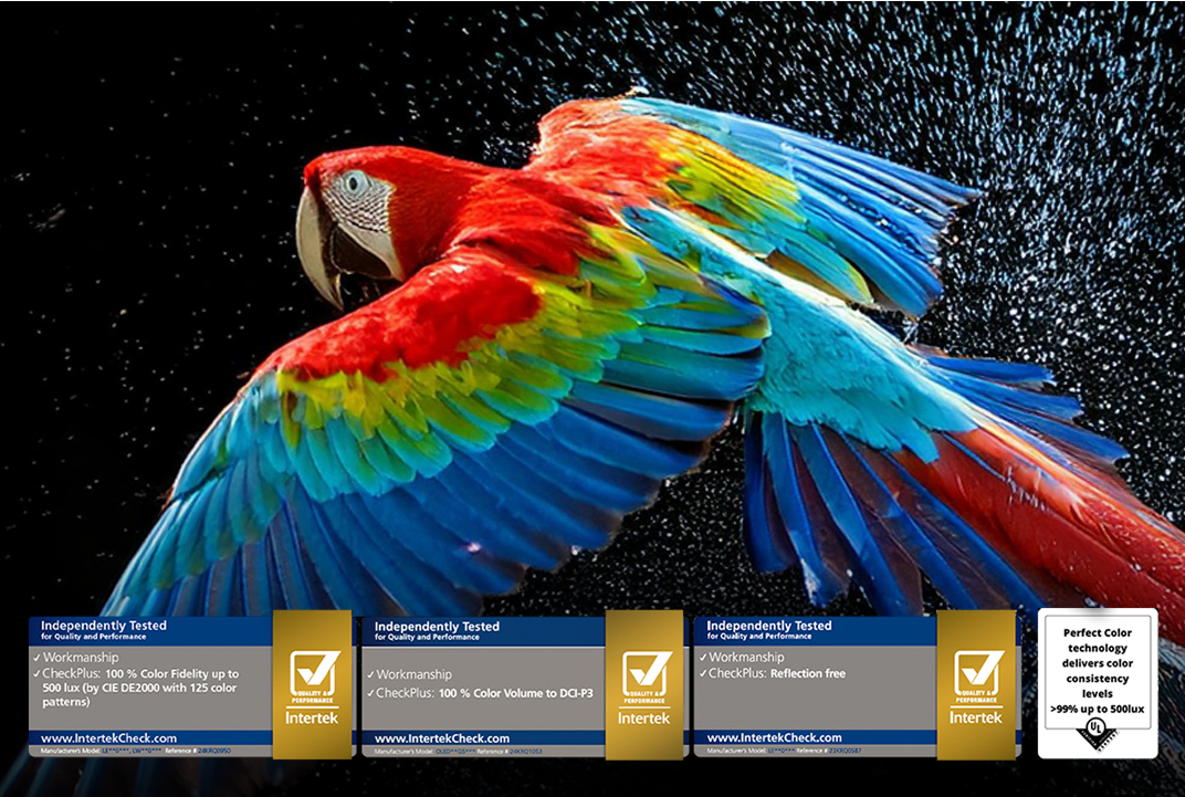Écran LG OLED TV avec plumes de perroquet vives, illustrant la précision Perfect Color.