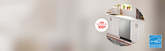 NOUVEAUX lave-vaisselle + VISA🅫 100 $