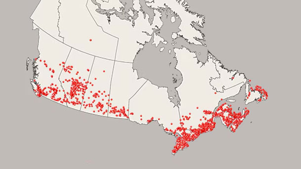 Couverture fiable partout au Canada