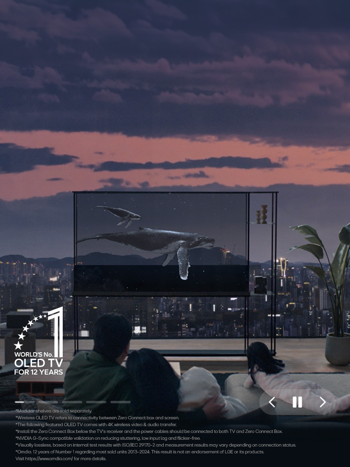 Une baleine nage sur le téléviseur OLED SIGNATURE de LG alors que l’ombre est baissée pour montrer la ligne d’horizon de la ville en soirée. Des personnes sont assises sur le canapé au premier plan, face à la télévision et à la fenêtre. La Zero Connect Box se trouve sur une petite table à gauche du téléviseur.