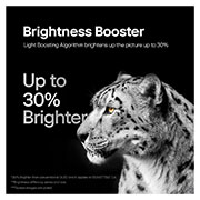 Brightness Booster