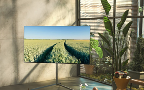 LG OLED TV in the corner of a room with various plants.