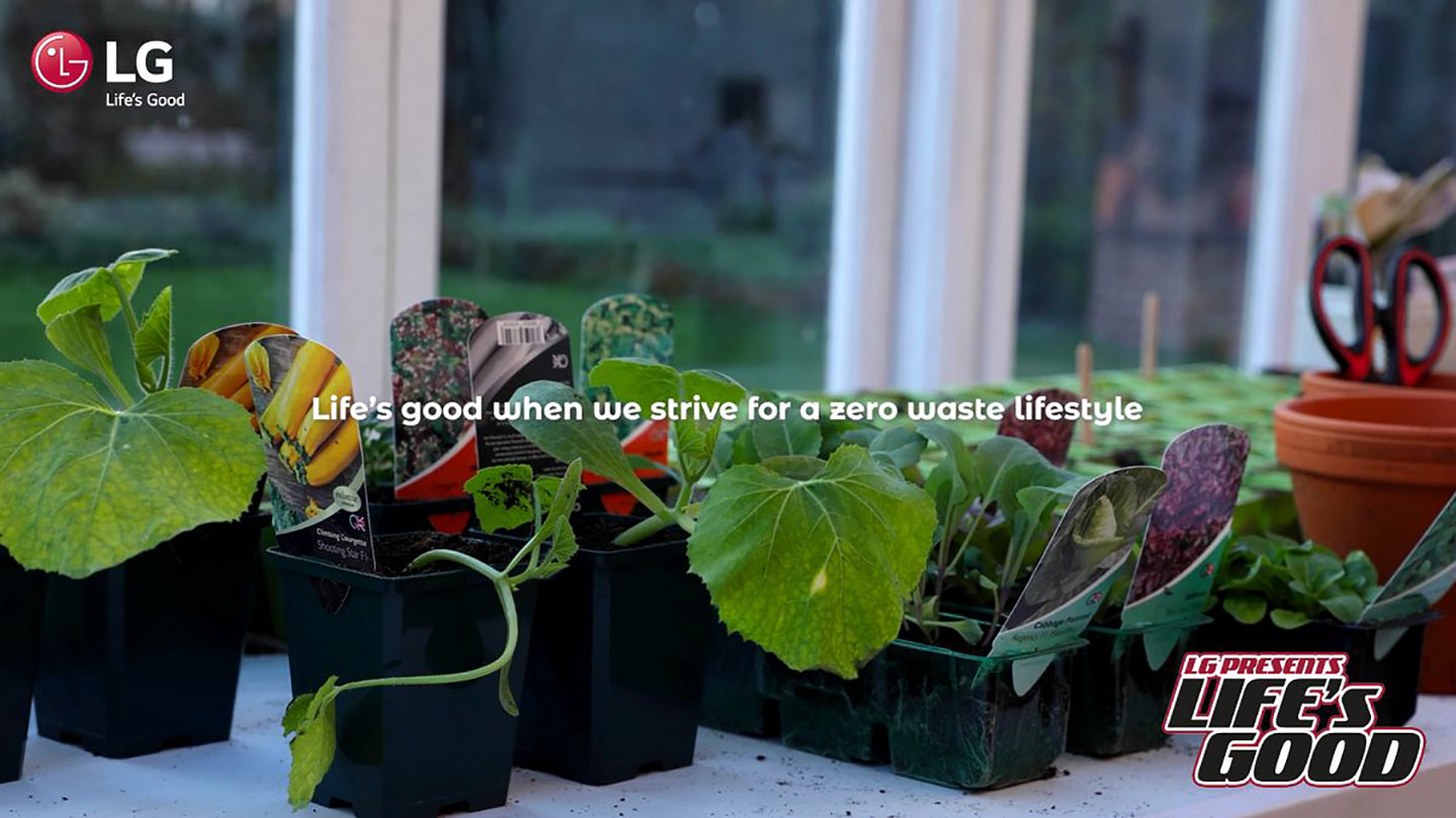 Making Life Better Through Low Impact Living