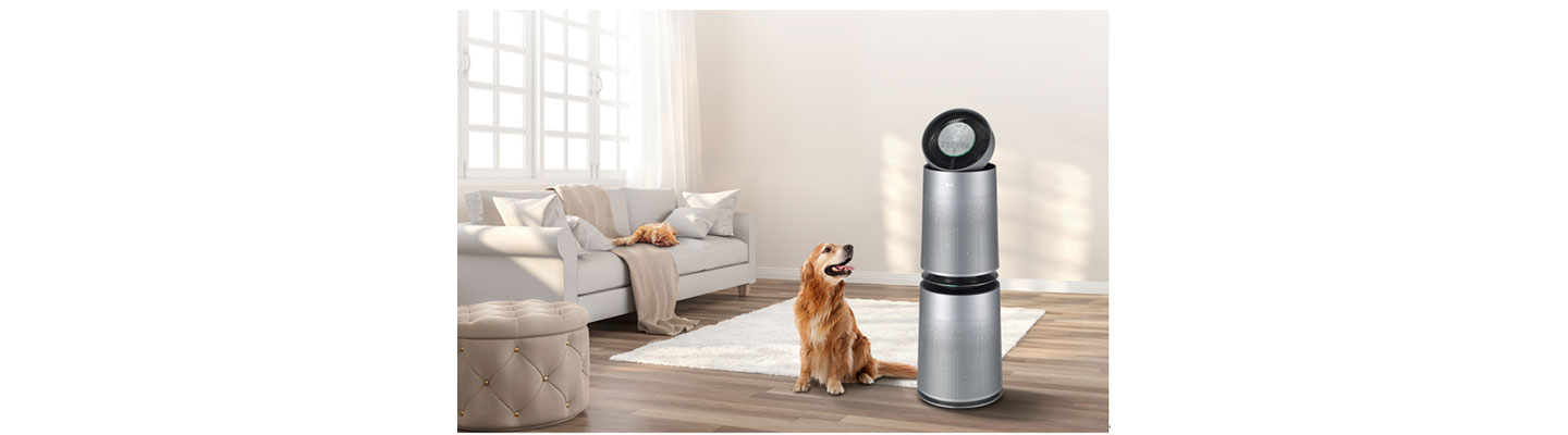 PuriCare™ Pet working in a living room to keep air feeling fresh and germ-free as a cat and dog watch on.