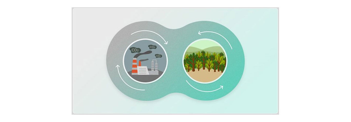 An illustration containing two distinct images: a factory emtting carbon dioxide on one side and clean forest on the other side.