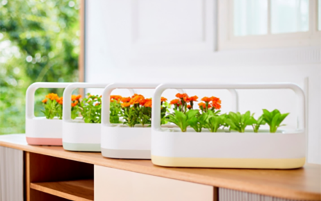 LG tiiun mini is growing herbs and marigolds