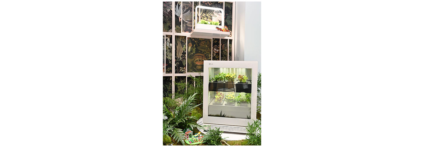 LG tiiun and tiiun mini are placed on the floor and wall shelf respectively, growing plants