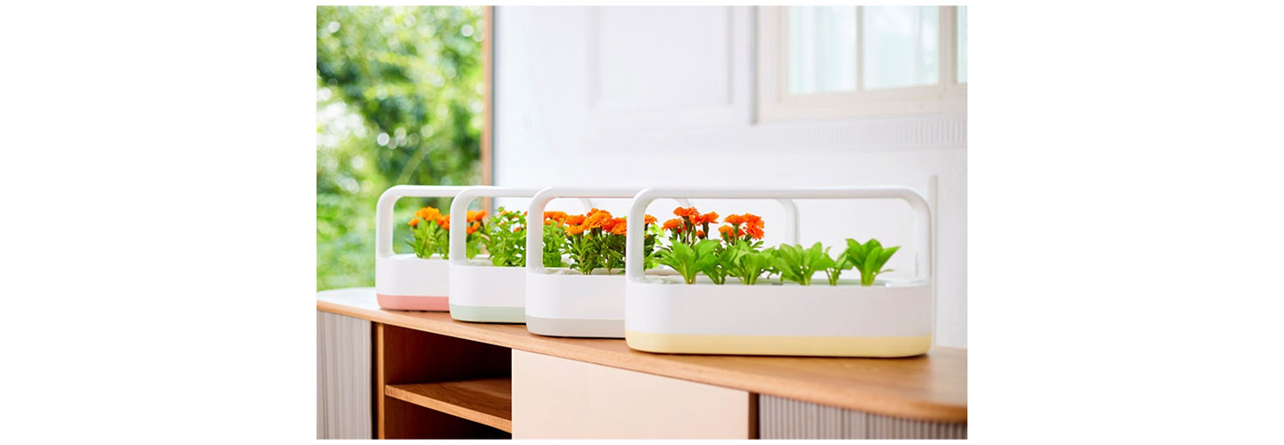 LG tiiun mini is growing herbs and marigolds