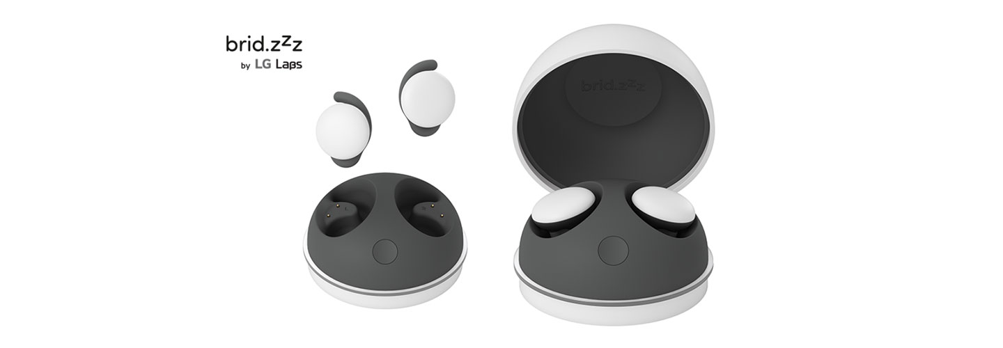 An image of the brid.zzz wireless earbuds