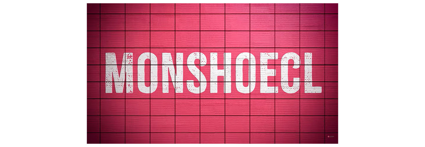 A digital image of Monshoecl spelled out on a red tile wall