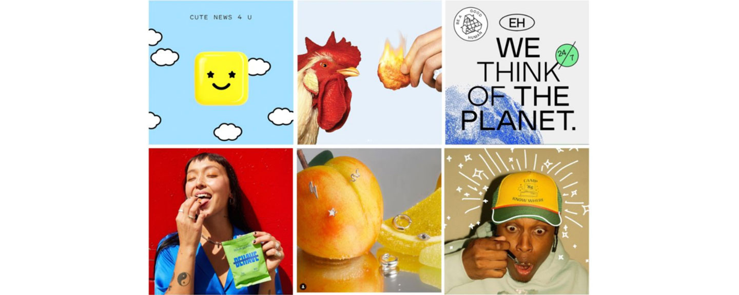  A collage displaying six photos promoting six different popular Instagram accounts