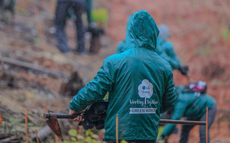 Volunteer workers planting trees as part of LG Spain’s Smart Green Movement.