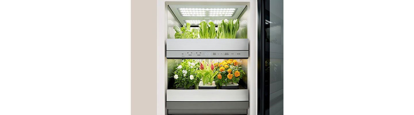 Inside of LG tiiun with lights on and growing vegetables as well as flowers