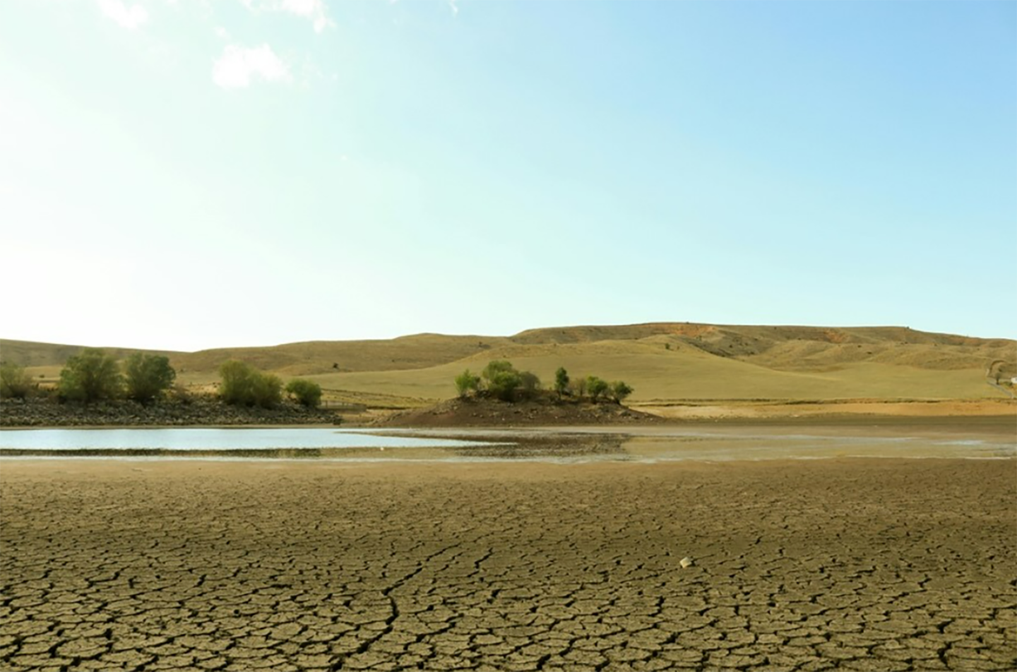 Sustainable Cooling: How LG’s AI Data Center Cooling Solutions Help Tackle Global Water Scarcity
