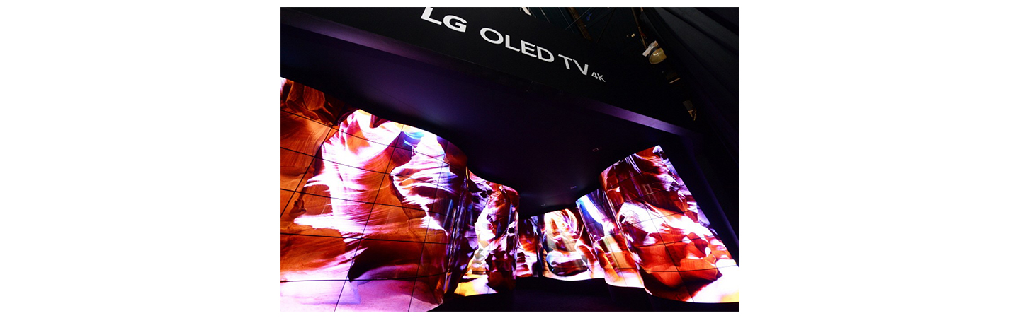 LG OLED CANYON