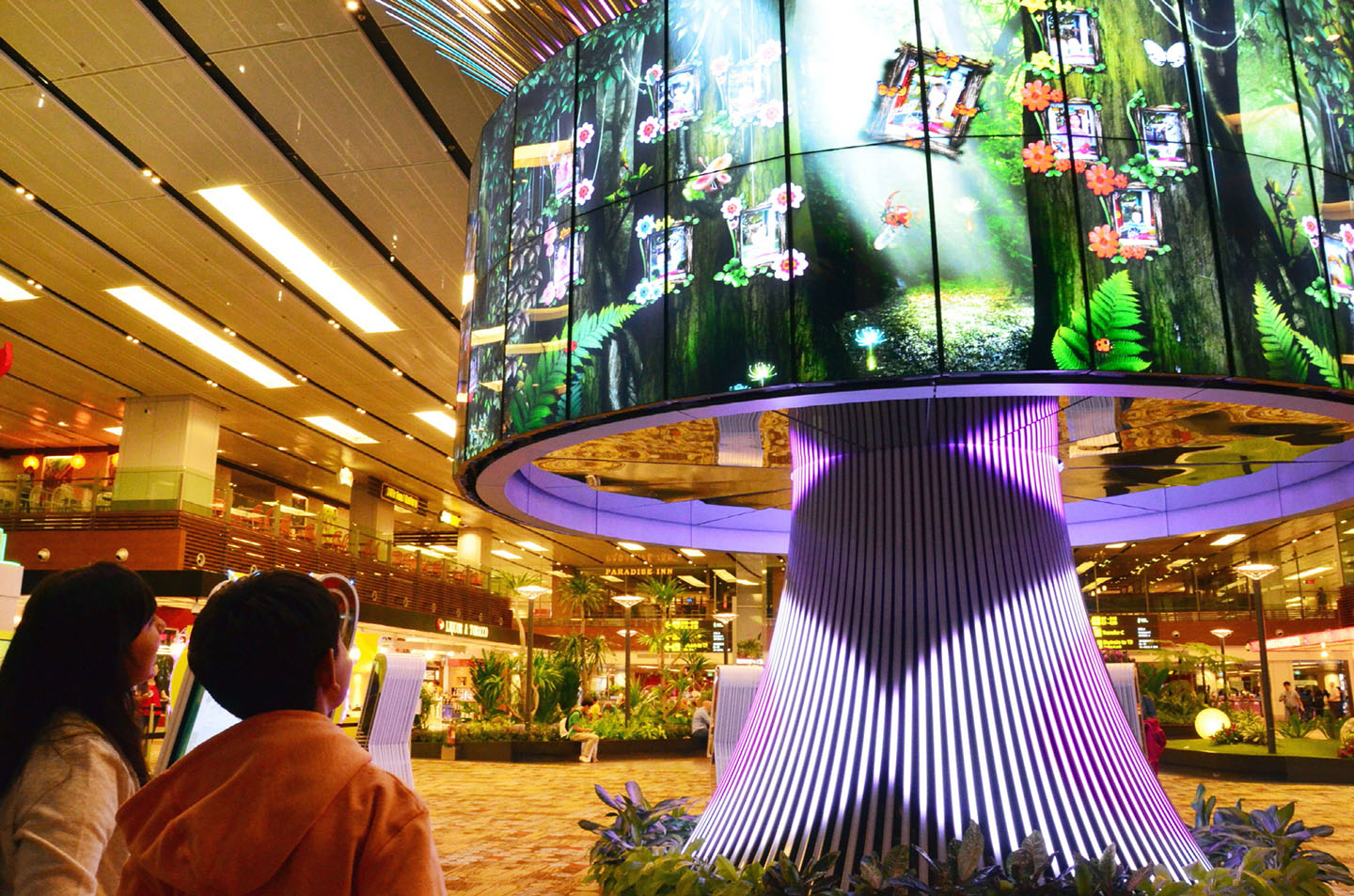 CHANGI AIRPORT GROUP PARTNERS WITH LG TO TAKE WRAPS OFF SOCIAL TREE