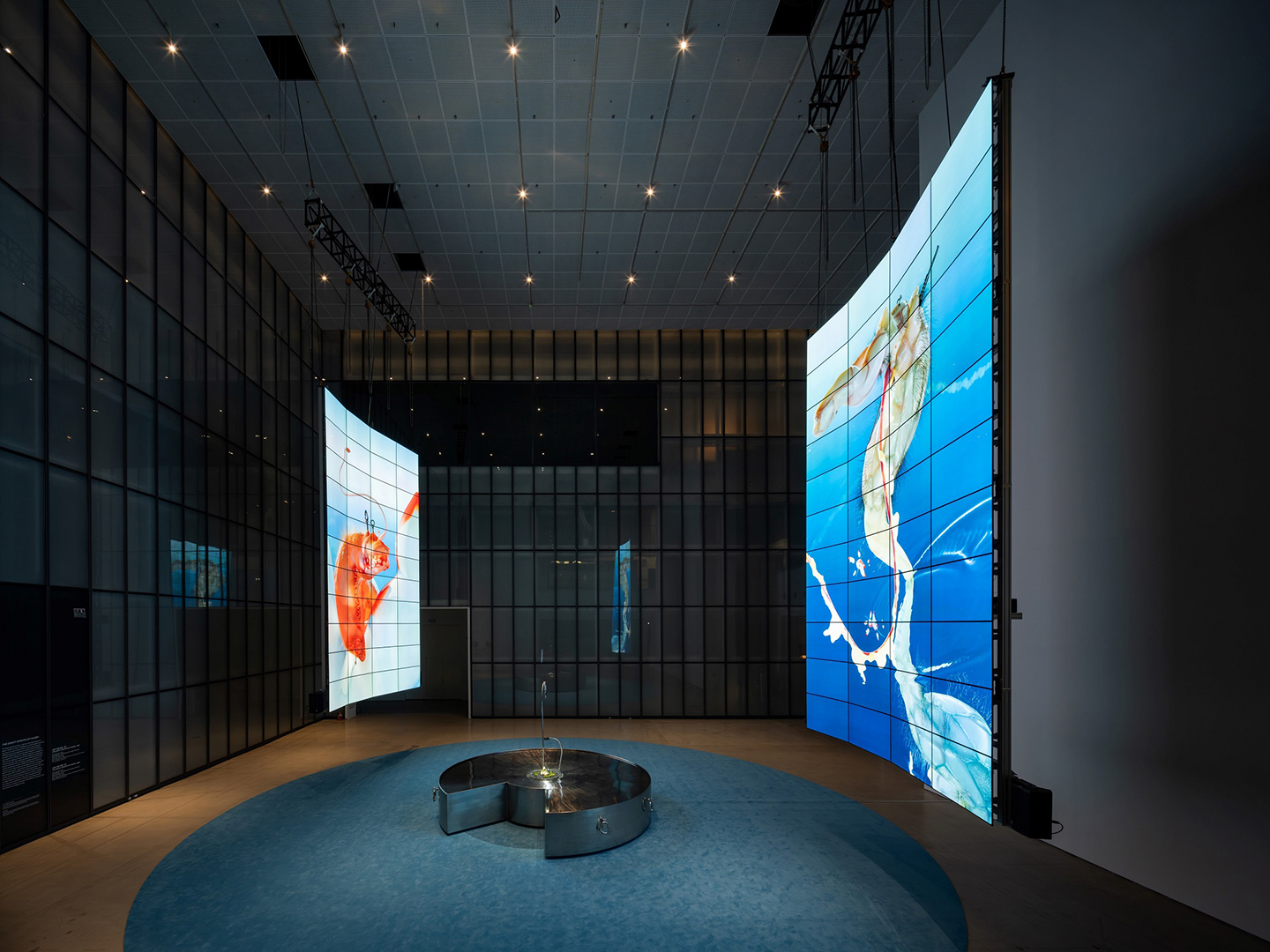 MMCA×LG OLED Series Kicks Off to Bring Digital Art Closer to the Public