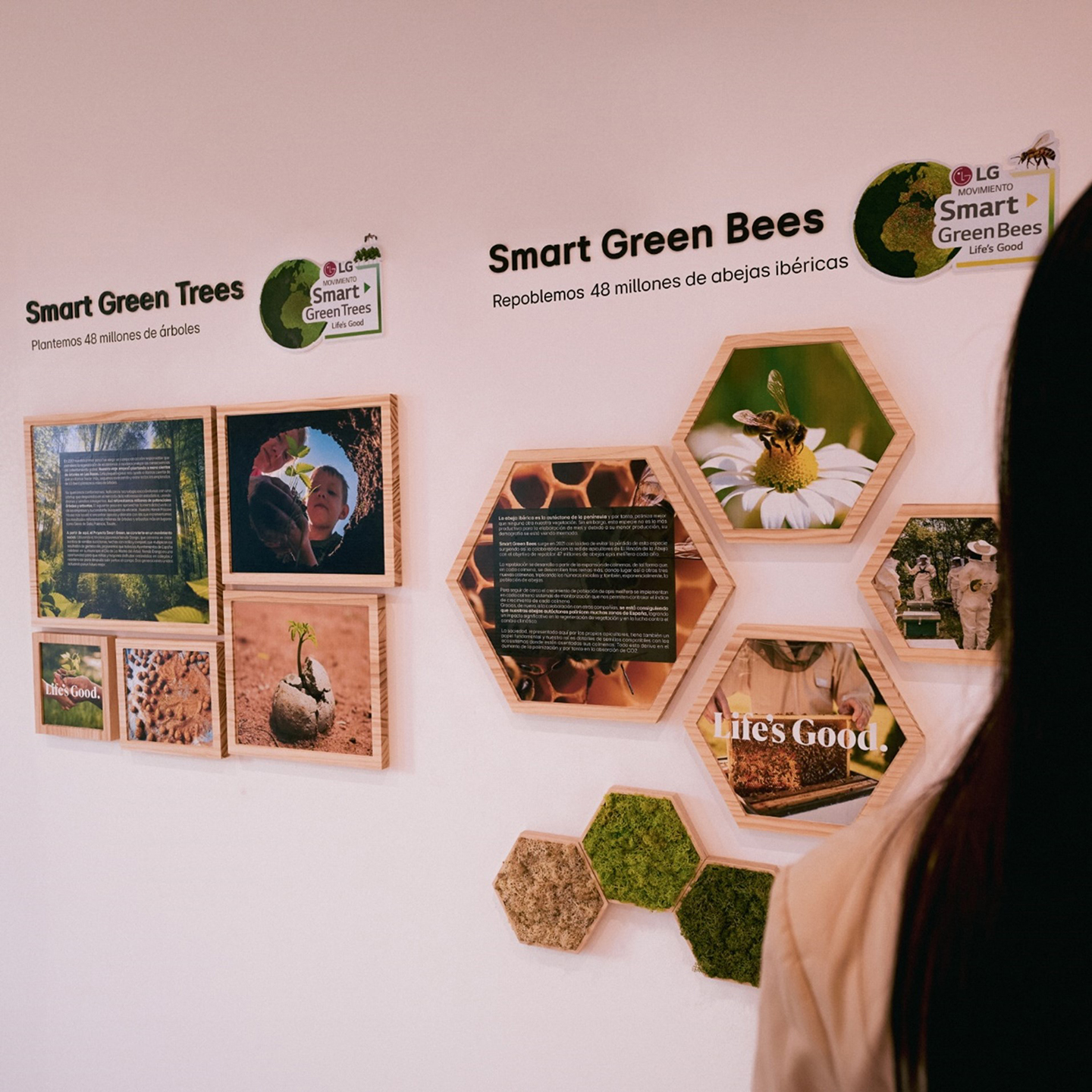A picture of the Smart Green Trees and Bees images with explanations