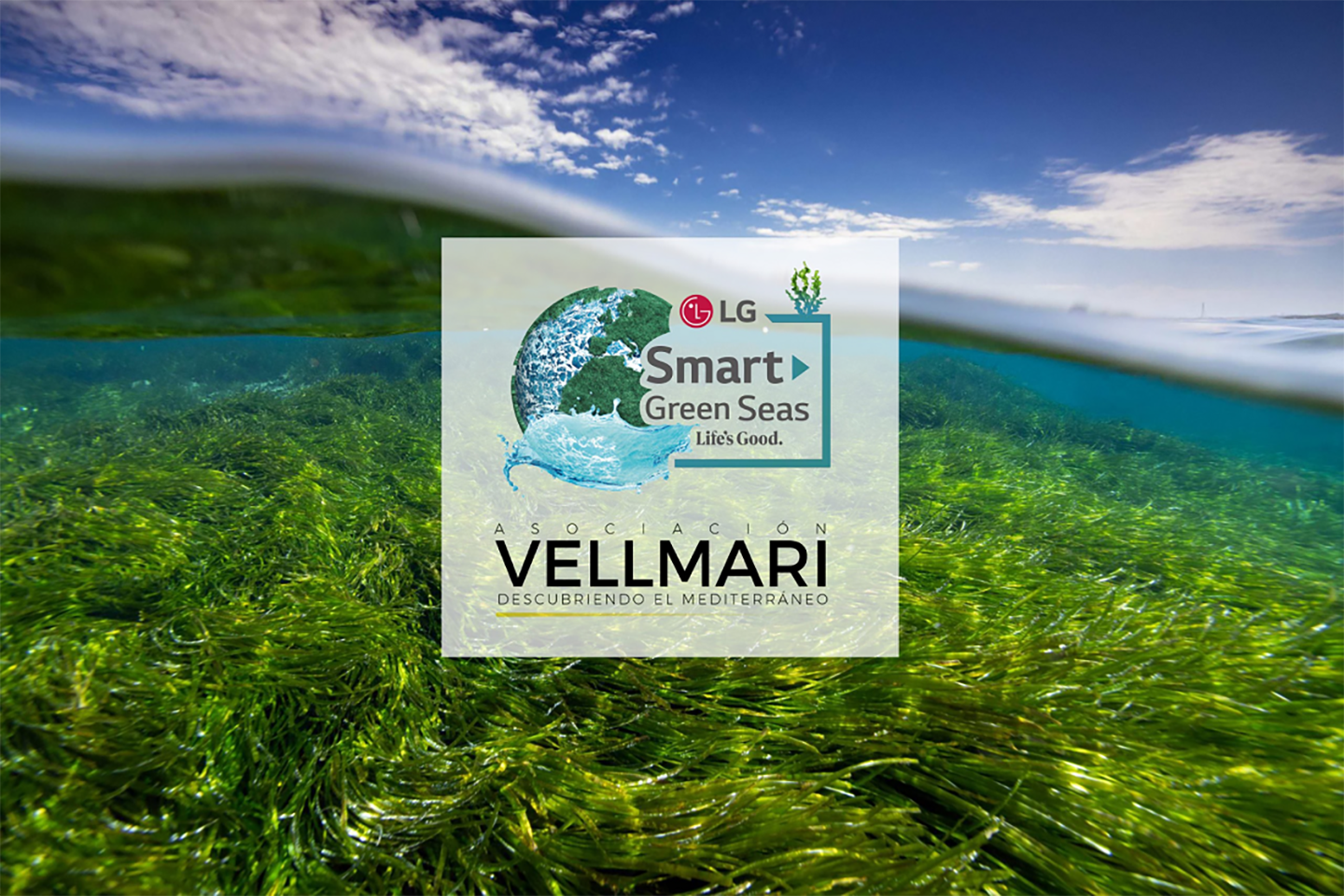 Smart Green Seas: Restoring the Mediterranean’s Ancient Underwater Forests