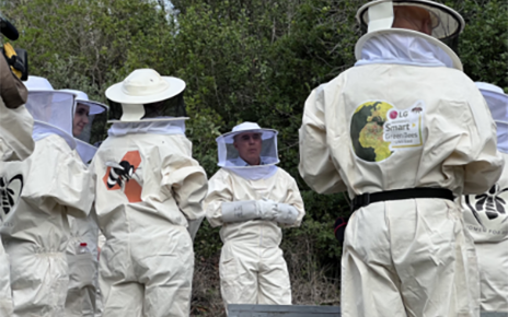 a photo of several people participating in the 'Smart Green Bees' project 