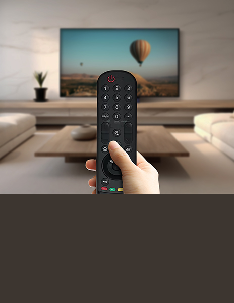 This is a picture of the LG tv remote controller