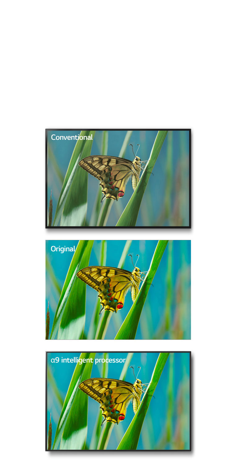 True Color Accuracy Pro1