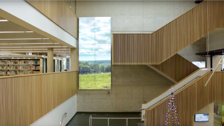 Discovery Wall: A Canvas Showcasing Southern Cross University