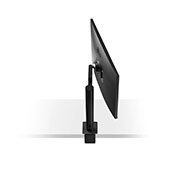 LG 32” Class UltraFine Display Ergo IPS Monitor with HDR10, 32UN880-B