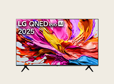 LG QNED91 PDP 	
