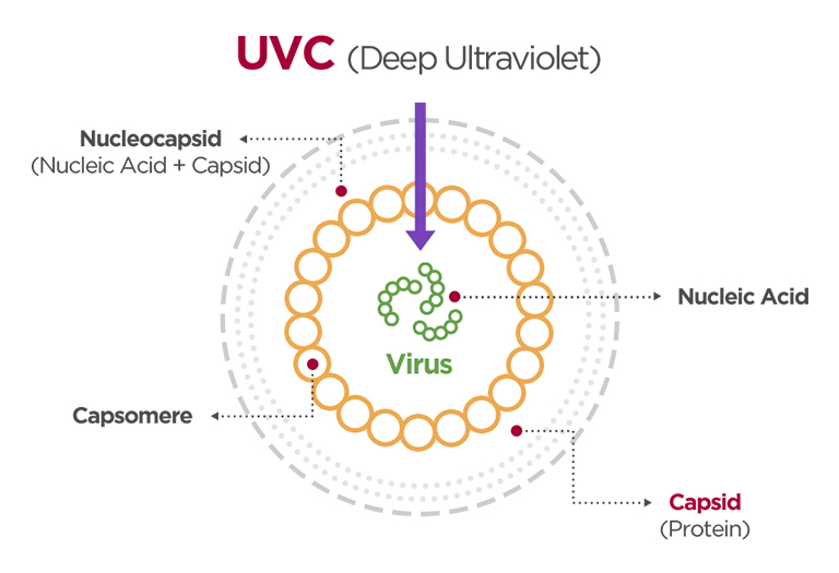 /ph/images/business/LGhvac-UV-Nano-2021/H-A-HVACblog-UVnano_Duct_Filter_Box-2021_D07.jpg
