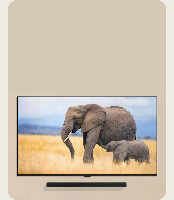 An LG TV mounted on a living room wall with an LG Soundbar mounted directly under. The TV displays two elephants, and a small child stands in front of the TV.