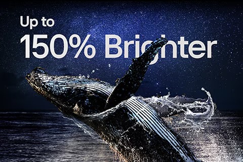 A whale jumping out of the water before a starry night sky. Above the whale is the phrase "up to 150% brighter". 