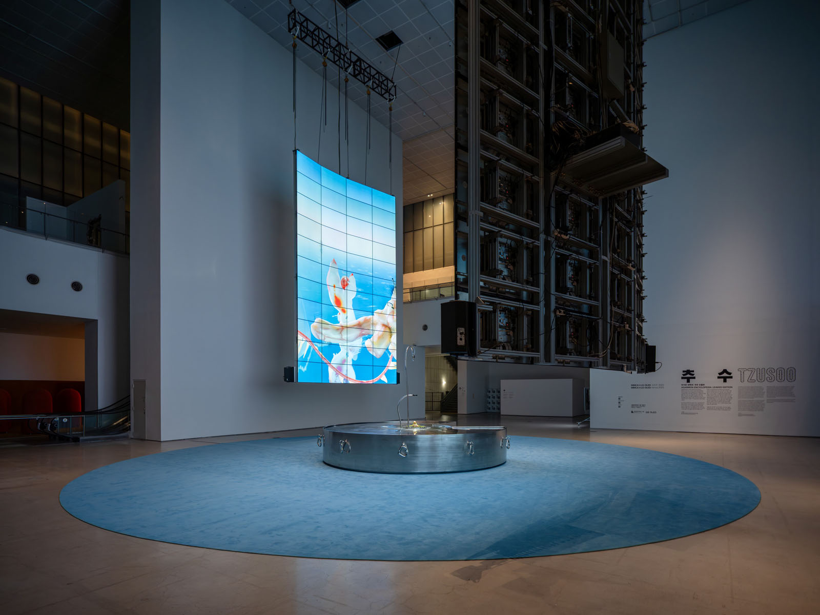mmca-x-lg-oled-series