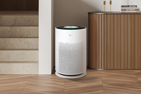 Compact in Size