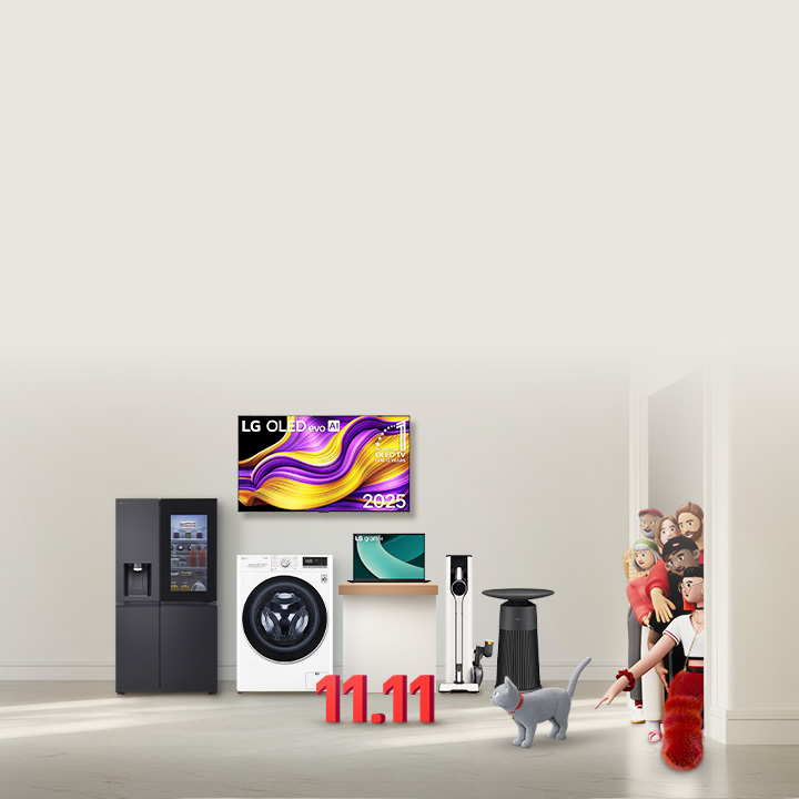 11.11 Mega Sale
